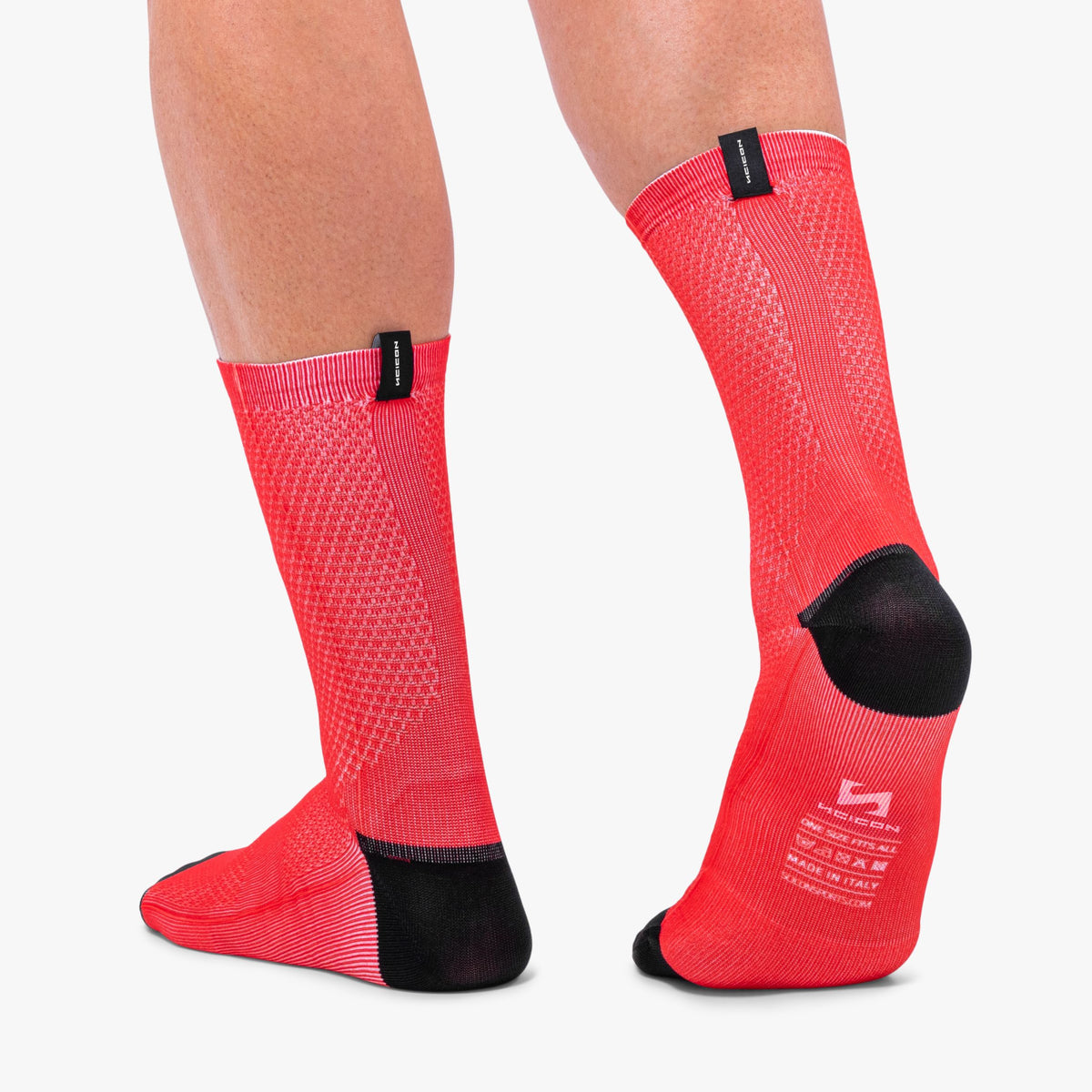 SOCKS213